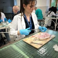 Congresul științific internațional „Marisiensis”